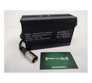 Charger C300 48V-54.6V 5Ah Li-Ion Batteries