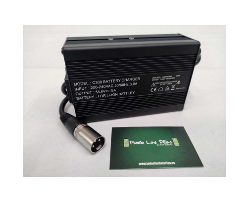 Charger C300 48V-54.6V 5Ah Li-Ion Batteries