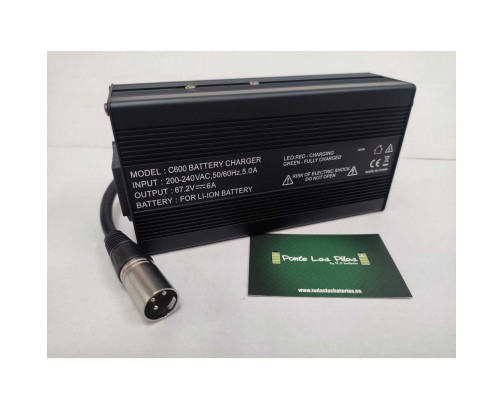 Charger C600 60V-67.2V 6Ah Li-Ion Batteries